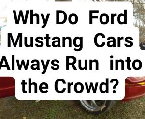 Why Do Ford Mustang Cars Always Run into the Crowd?